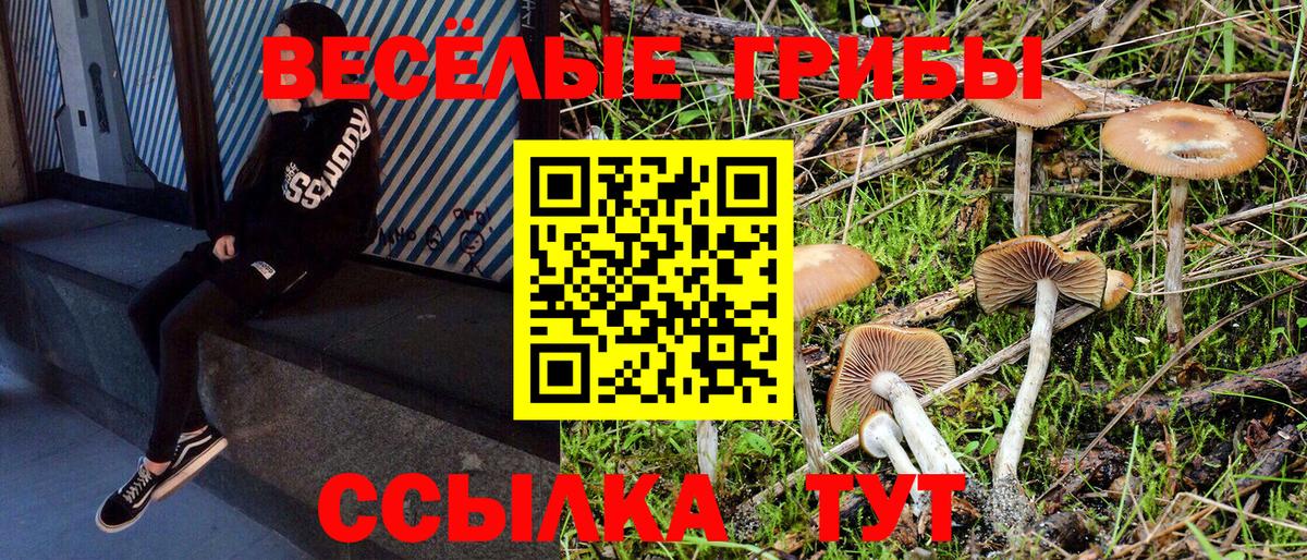 Псилоцибиновые грибы GOLDEN TEACHER Нягань