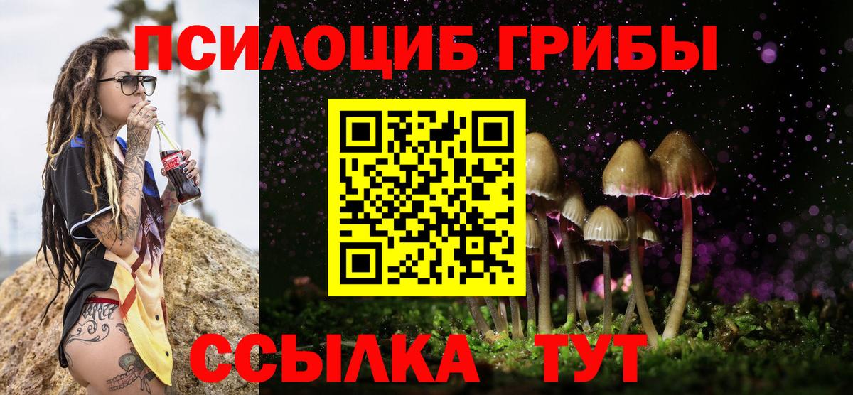 Галлюциногенные грибы Cubensis  Вход с VPN  Галлюциногенные грибы Psilocybe  Нягань 